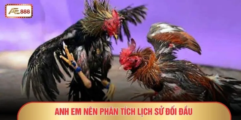 Anh em nên phân tích lịch sử đối đầu