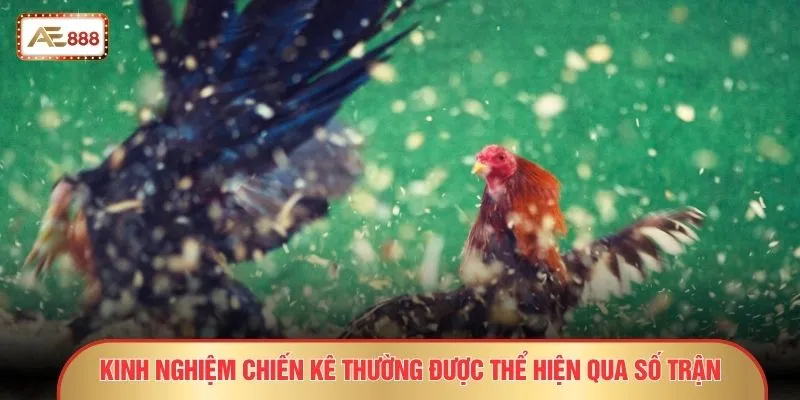 Kinh nghiệm chiến kê thường được thể hiện qua số trận
