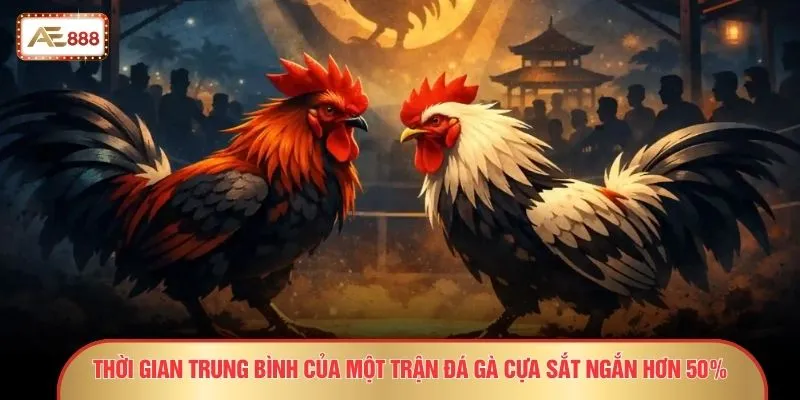 Thời gian trung bình của một trận đá gà cựa sắt ngắn hơn 50%