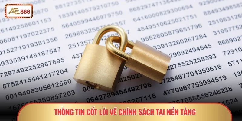 Thông tin cốt lõi về chính sách tại nền tảng